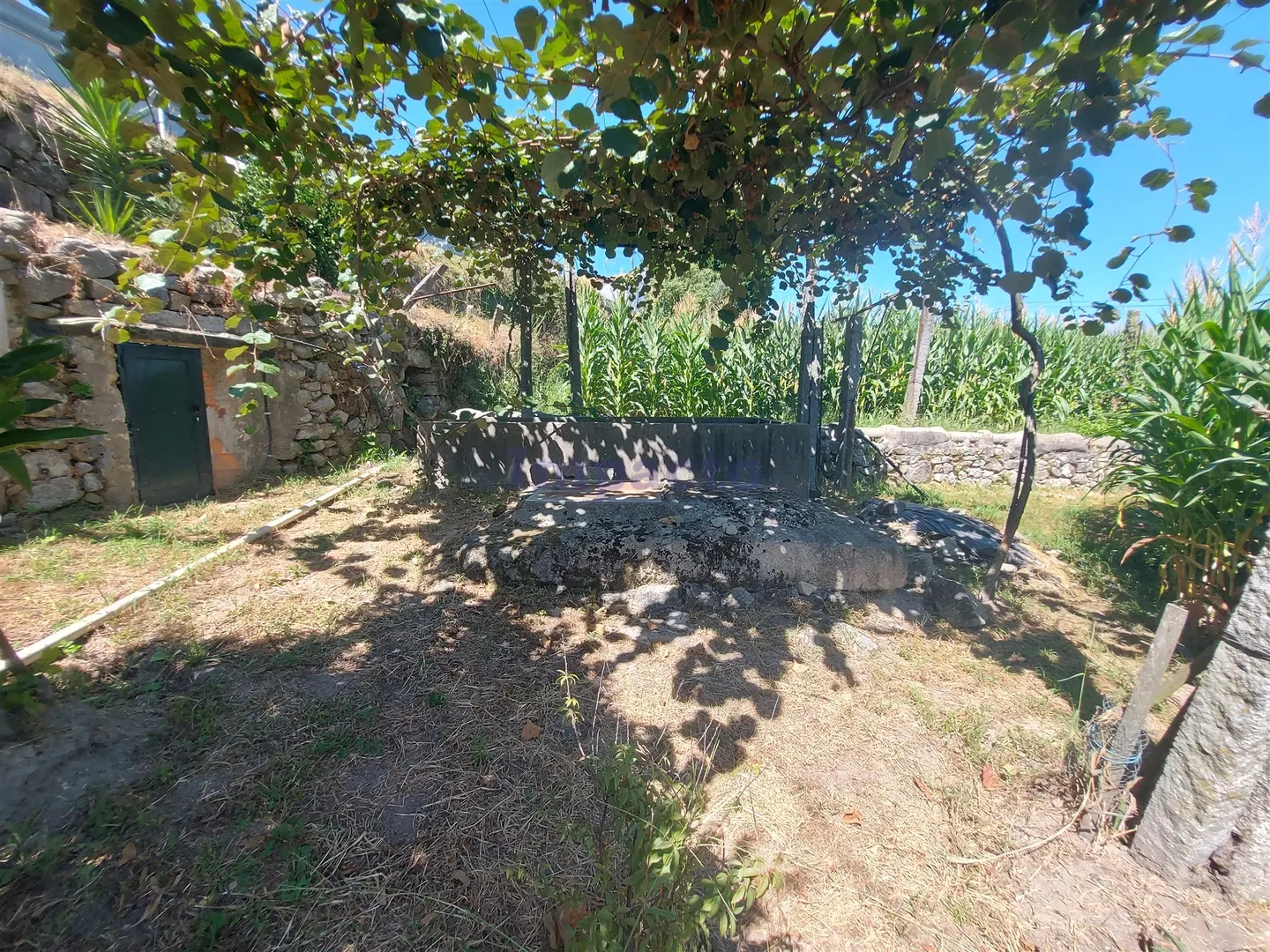 Terreno Rstico T0 - Mansores, Arouca, Aveiro - Miniatura: 4/9