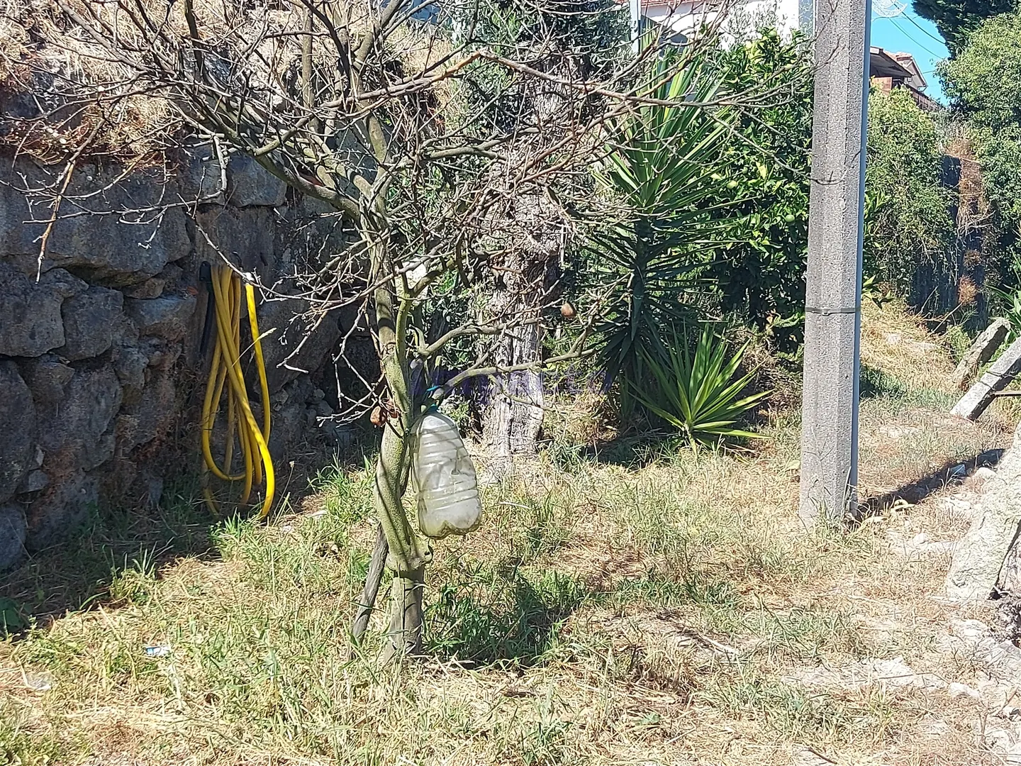Terreno Rstico T0 - Mansores, Arouca, Aveiro - Miniatura: 5/9