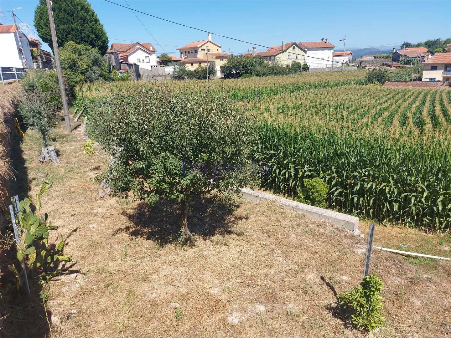 Terreno Rstico T0 - Mansores, Arouca, Aveiro - Miniatura: 7/9