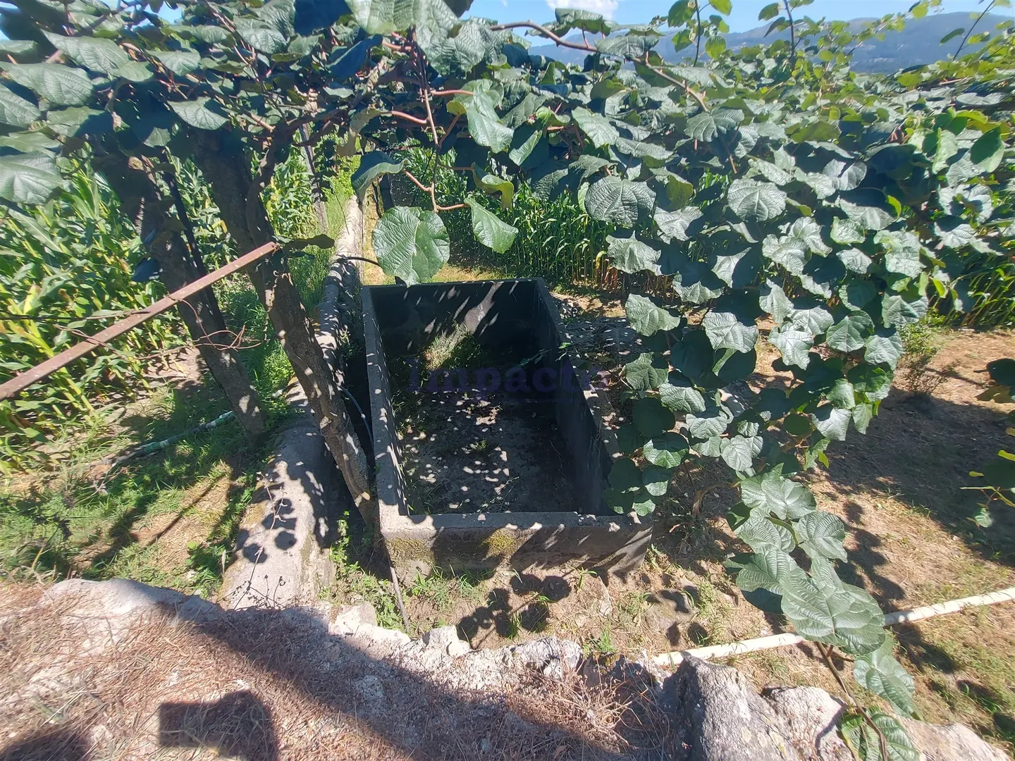 Terreno Rstico T0 - Mansores, Arouca, Aveiro - Miniatura: 8/9