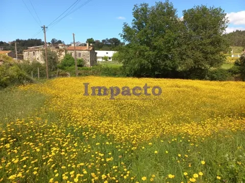 Terreno Rstico T0 - Escariz, Arouca, Aveiro - Miniatura: 5/8