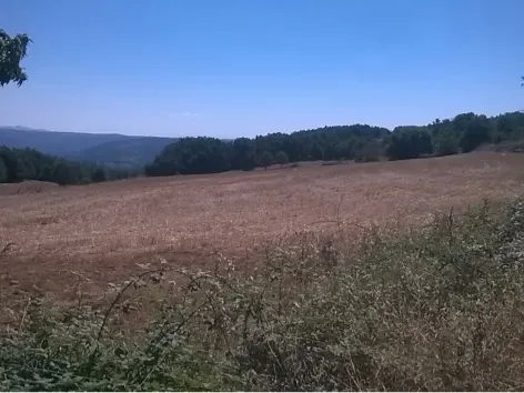 Terreno Rstico - Vilar de Ossos, Vinhais, Bragana - Miniatura: 1/4