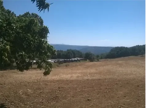 Terreno Rstico - Vilar de Ossos, Vinhais, Bragana - Miniatura: 3/4