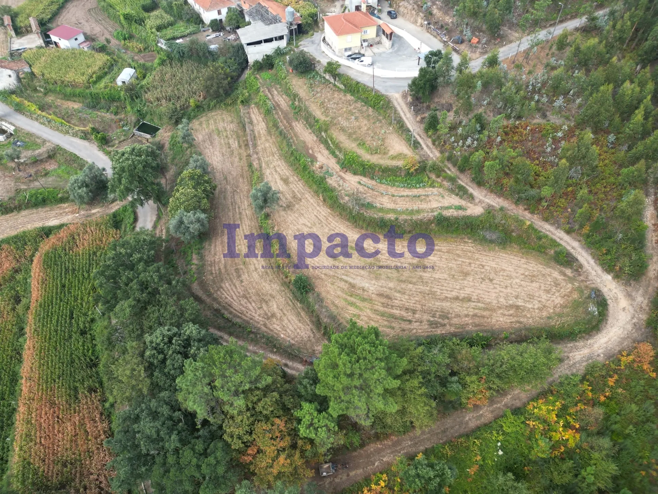 Terreno R�stico - Escariz, Arouca, Aveiro - Miniatura: 3/9