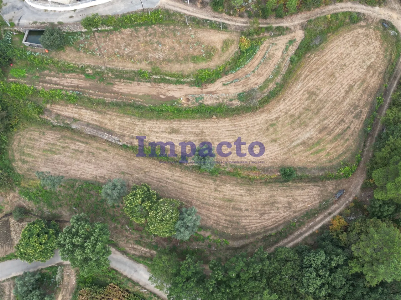Terreno R�stico - Escariz, Arouca, Aveiro - Miniatura: 4/9