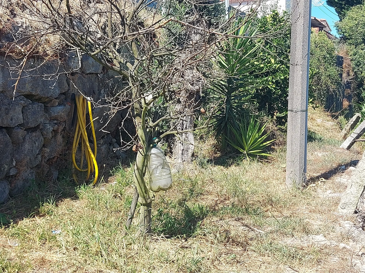 Terreno Rstico - Mansores, Arouca, Aveiro - Miniatura: 5/9