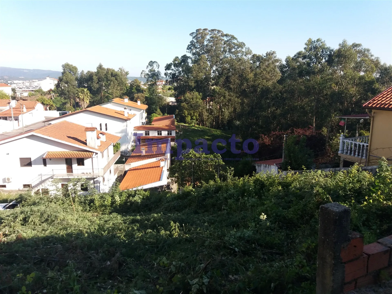 Terreno R�stico - Vila de Cucuj�es, Oliveira de Azem�is, Aveiro - Miniatura: 1/1