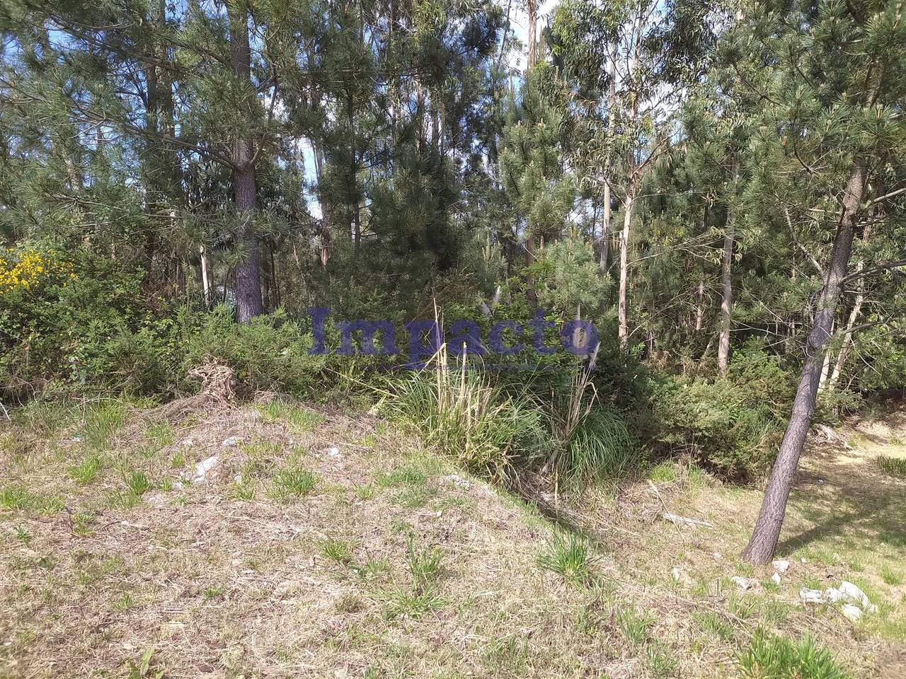 Terreno Urbano - Cesar, Oliveira de Azemis, Aveiro - Miniatura: 3/9