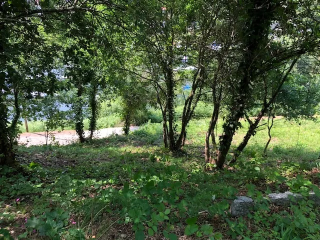 Terreno R�stico - Melres, Gondomar, Porto - Miniatura: 2/9