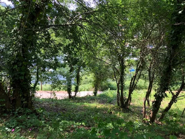 Terreno R�stico - Melres, Gondomar, Porto - Miniatura: 3/9