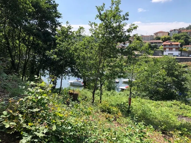 Terreno R�stico - Melres, Gondomar, Porto - Miniatura: 5/9