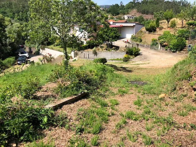 Terreno R�stico - Melres, Gondomar, Porto - Miniatura: 6/9