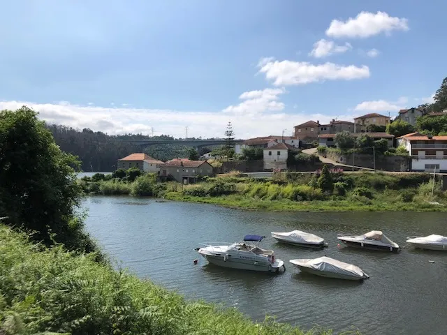 Terreno R�stico - Melres, Gondomar, Porto - Miniatura: 9/9