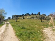 Terreno Rstico - Castro Vicente, Mogadouro, Bragana - Miniatura: 1/9