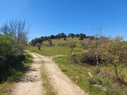 Terreno Rstico - Castro Vicente, Mogadouro, Bragana - Miniatura: 2/9