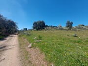 Terreno Rstico - Castro Vicente, Mogadouro, Bragana - Miniatura: 3/9