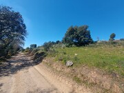Terreno Rstico - Castro Vicente, Mogadouro, Bragana - Miniatura: 4/9