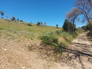 Terreno Rstico - Castro Vicente, Mogadouro, Bragana - Miniatura: 5/9