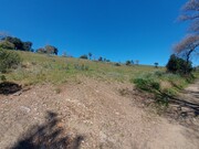 Terreno Rstico - Castro Vicente, Mogadouro, Bragana - Miniatura: 6/9
