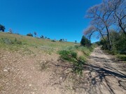 Terreno Rstico - Castro Vicente, Mogadouro, Bragana - Miniatura: 8/9