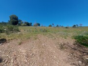 Terreno Rstico - Castro Vicente, Mogadouro, Bragana - Miniatura: 9/9