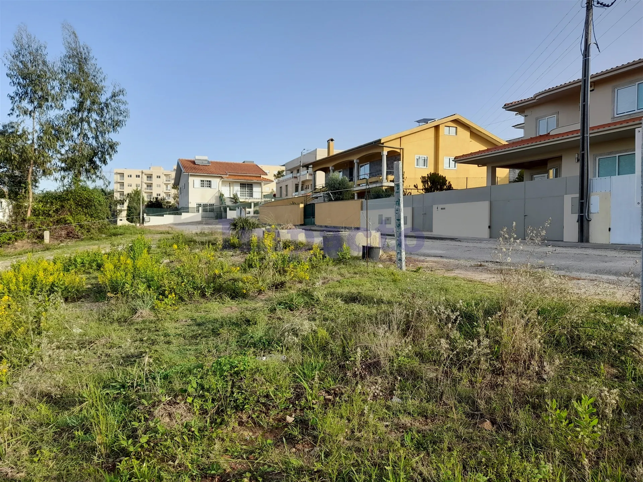 Terreno R�stico - Espargo, Santa Maria da Feira, Aveiro - Imagem grande