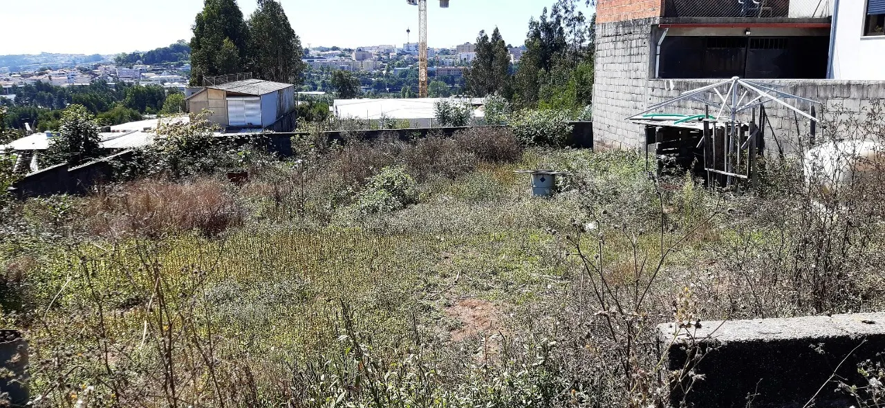 Terreno R�stico - Macieira de Sarnes, Oliveira de Azem�is, Aveiro