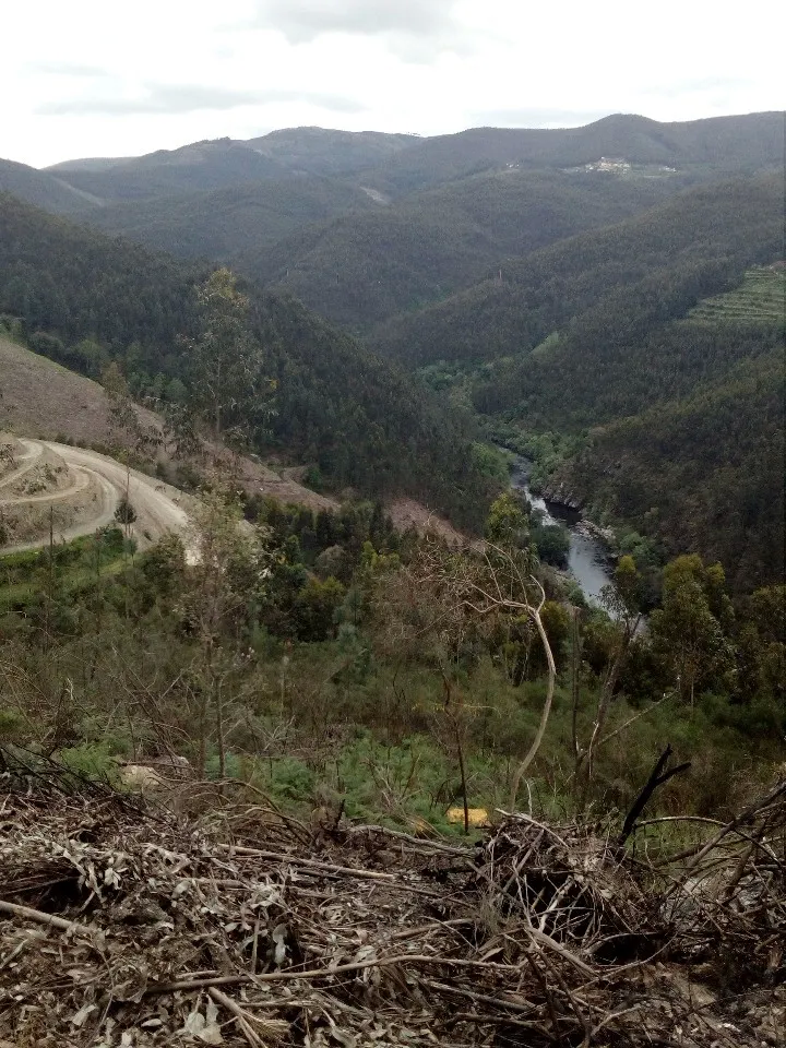 Terreno R�stico - Espiunca, Arouca, Aveiro