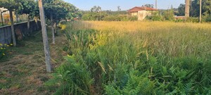 Terreno Rstico - Escariz, Arouca, Aveiro