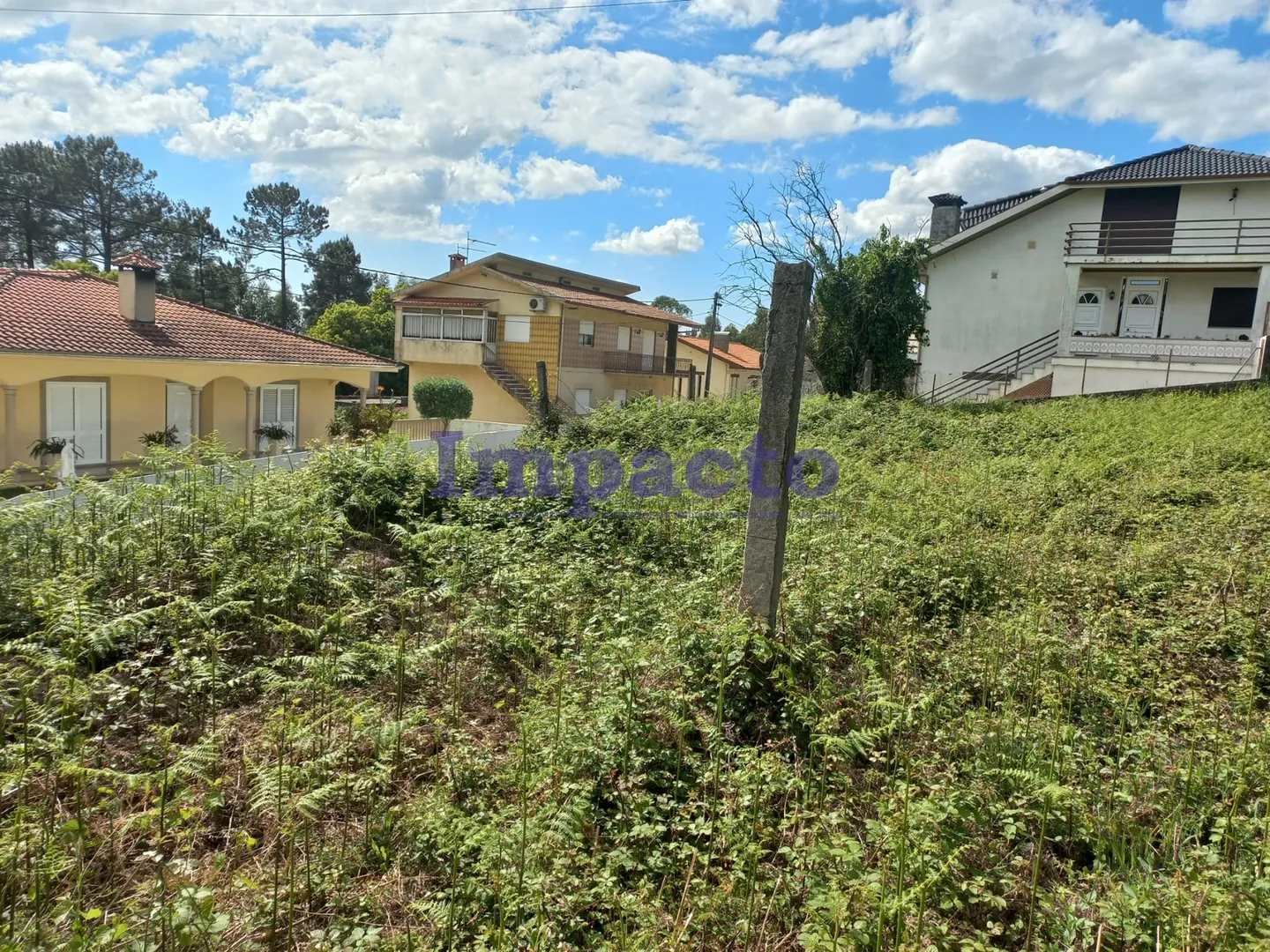 Terreno Rstico T0 - Escariz, Arouca, Aveiro - Miniatura: 2/9