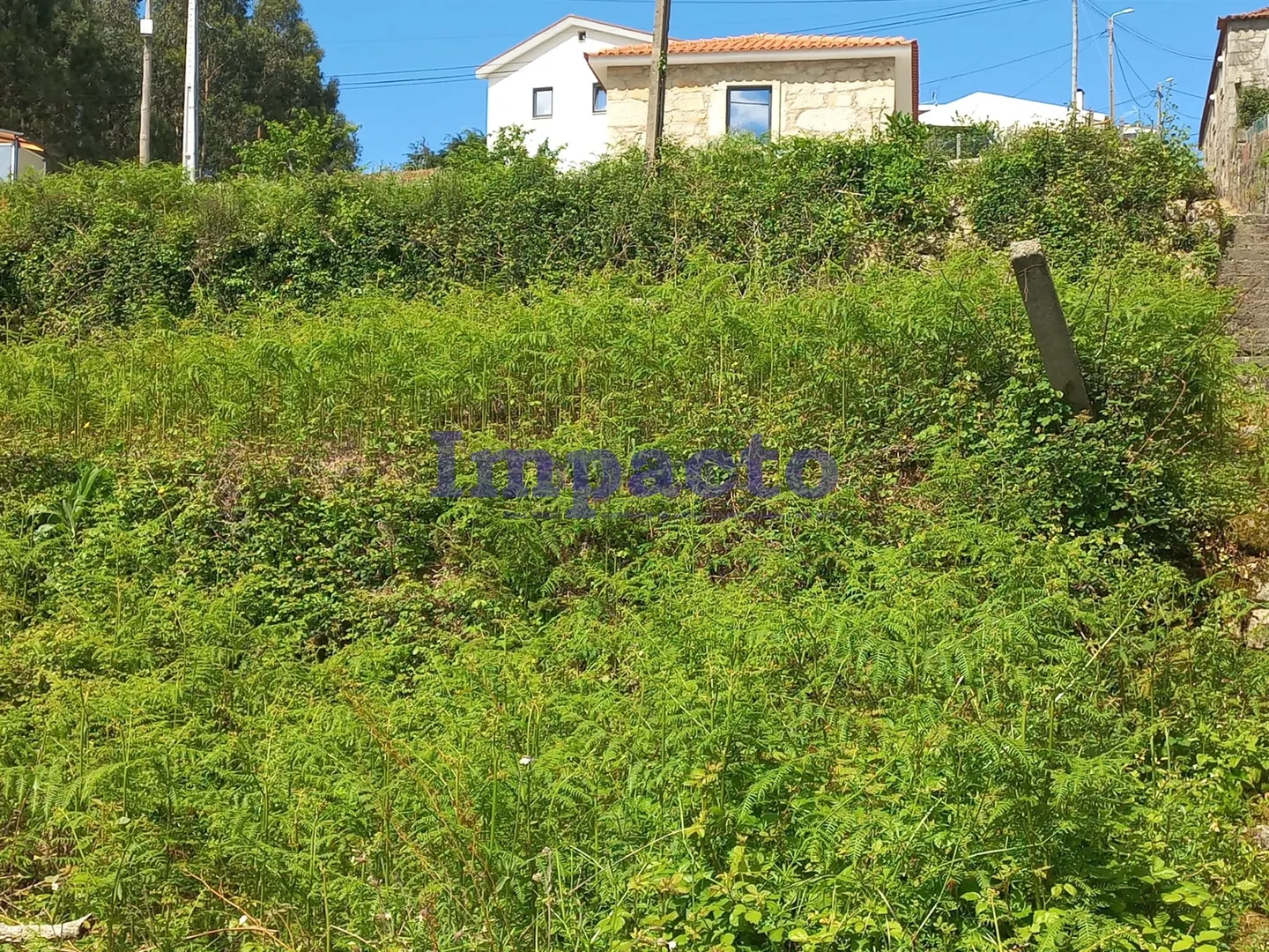 Terreno Rstico T0 - Escariz, Arouca, Aveiro - Miniatura: 3/9
