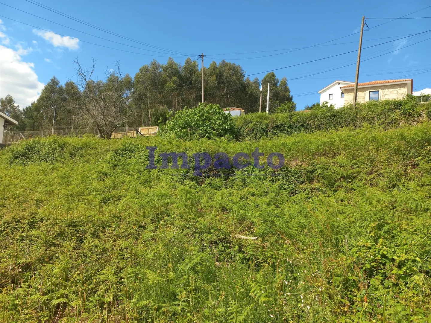 Terreno Rstico T0 - Escariz, Arouca, Aveiro - Miniatura: 5/9