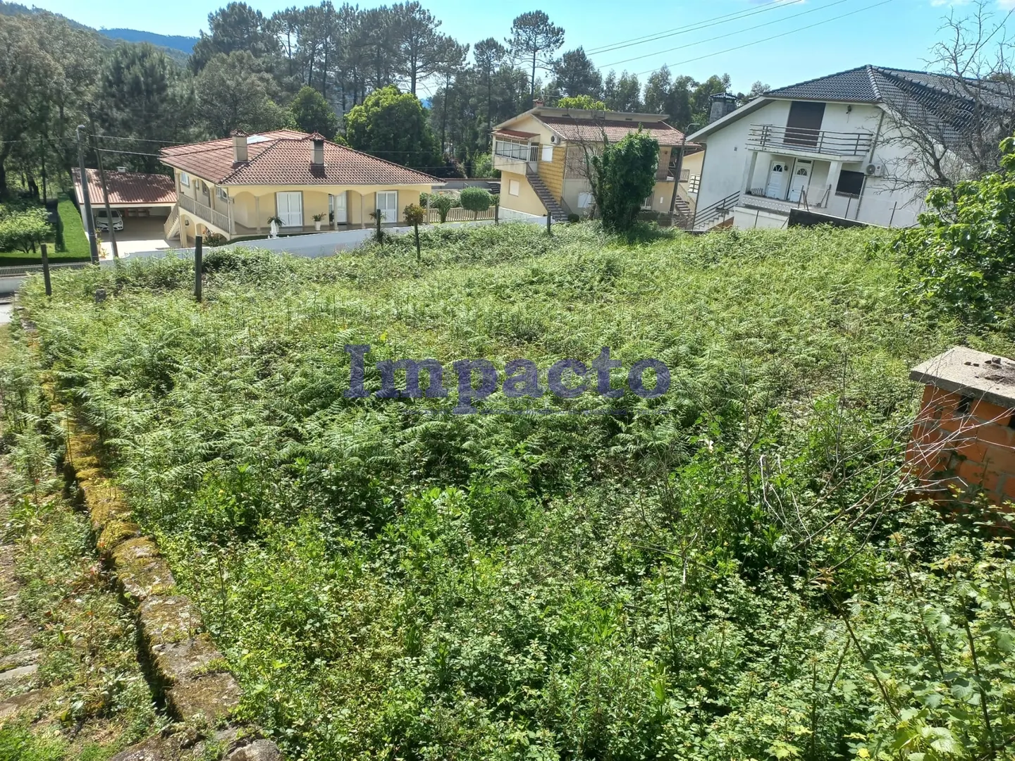 Terreno Rstico T0 - Escariz, Arouca, Aveiro - Miniatura: 6/9