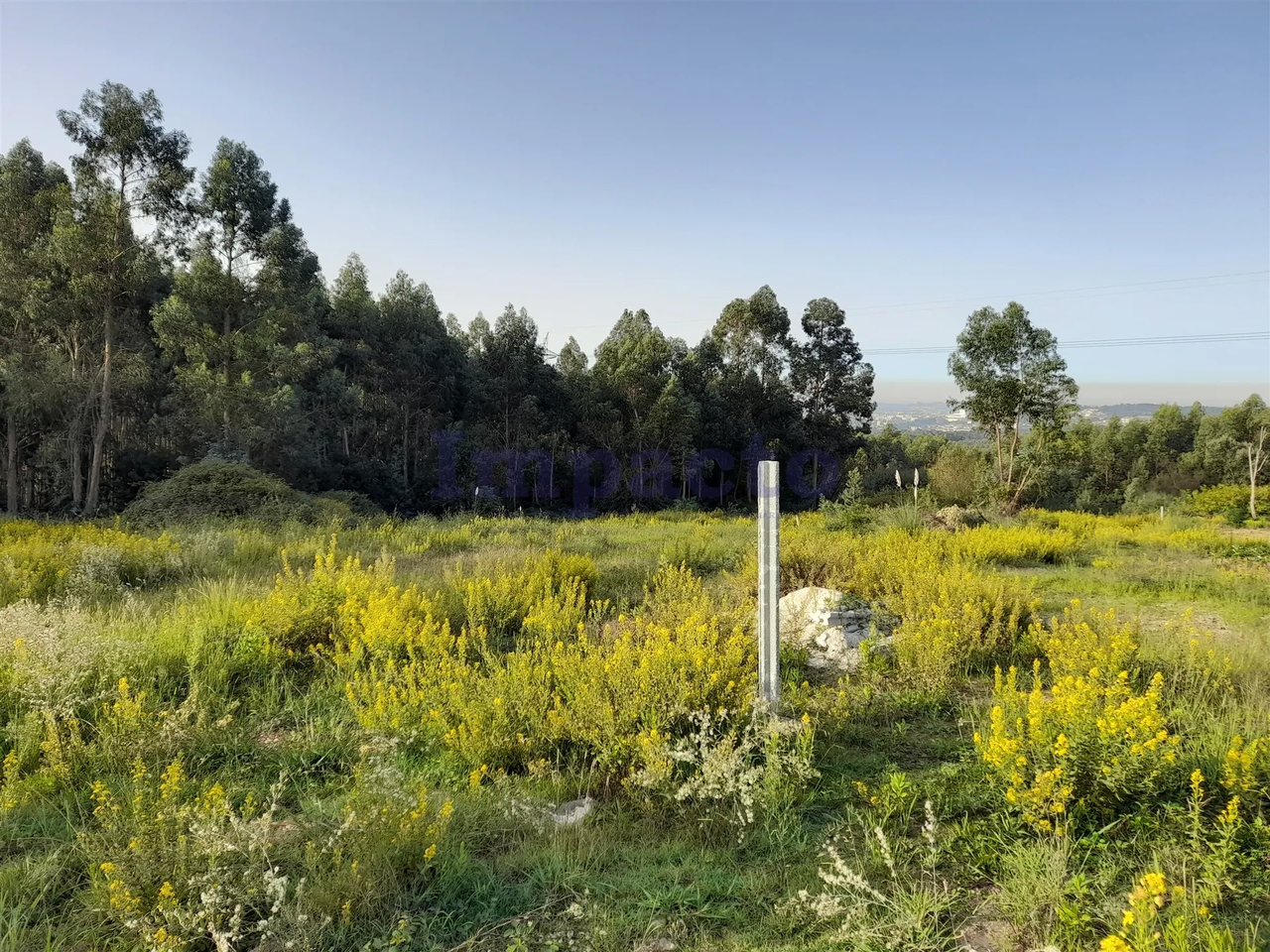 Terreno R�stico - Espargo, Santa Maria da Feira, Aveiro - Miniatura: 1/4