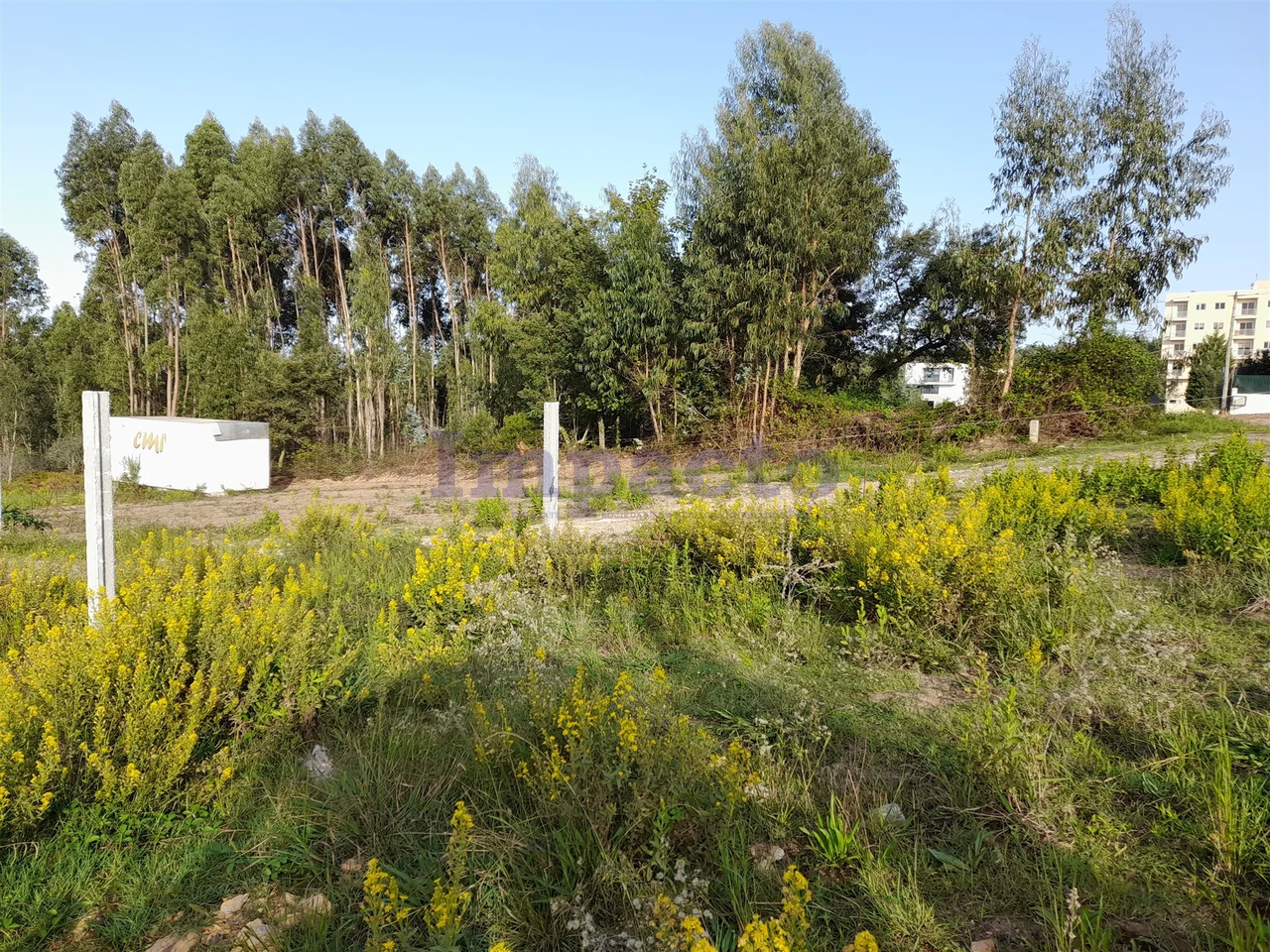 Terreno R�stico - Espargo, Santa Maria da Feira, Aveiro - Miniatura: 3/4