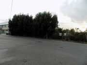 Terreno R�stico - Rio Me�o, Santa Maria da Feira, Aveiro - Miniatura: 5/5