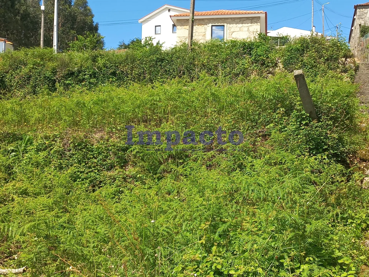 Terreno R�stico - Escariz, Arouca, Aveiro - Miniatura: 3/9