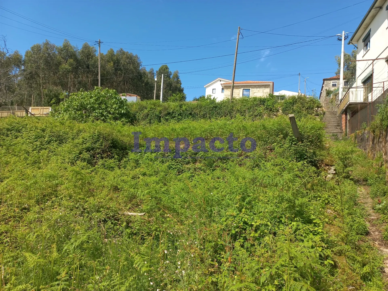 Terreno R�stico - Escariz, Arouca, Aveiro - Miniatura: 4/9