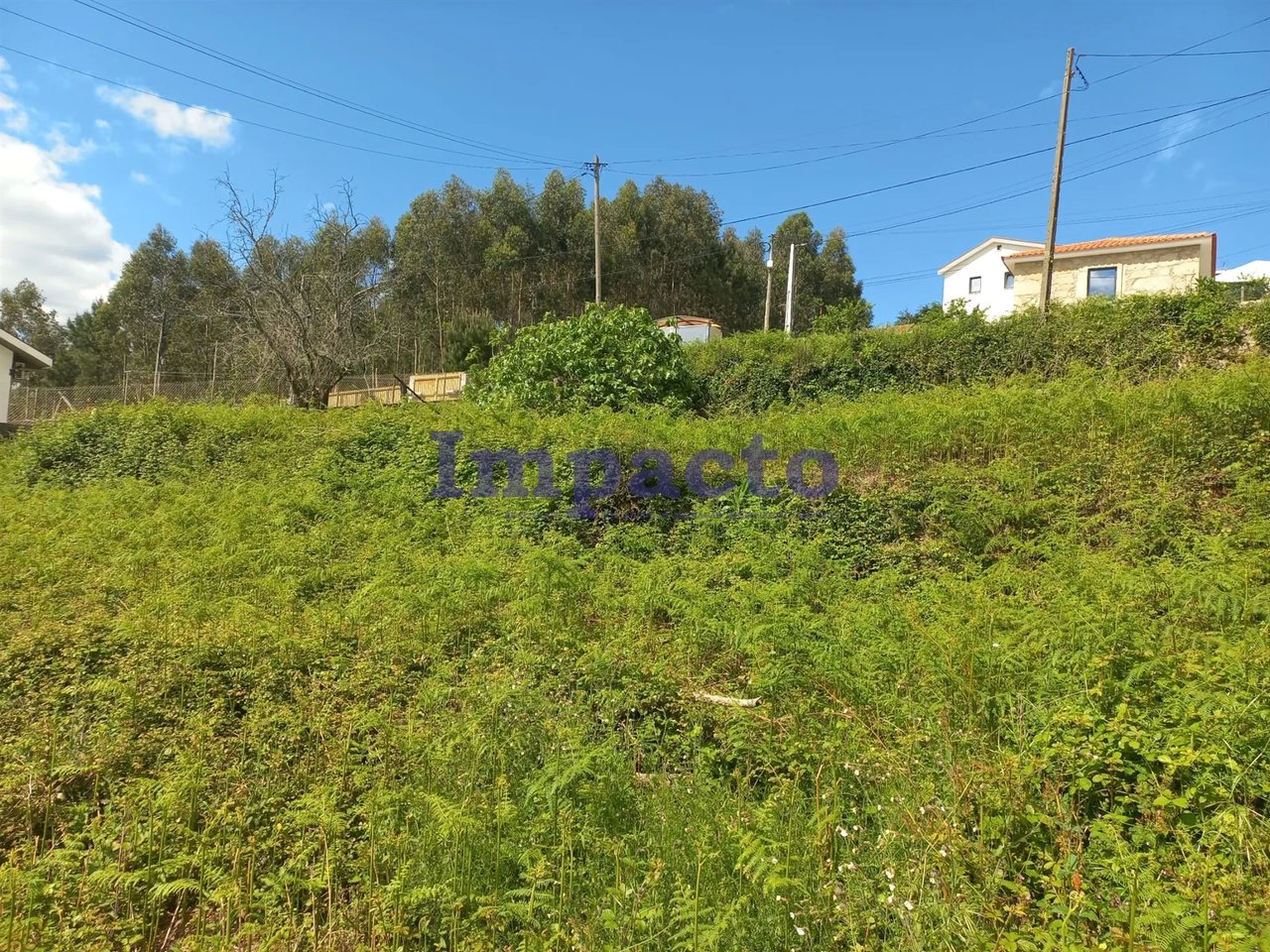 Terreno R�stico - Escariz, Arouca, Aveiro - Miniatura: 5/9