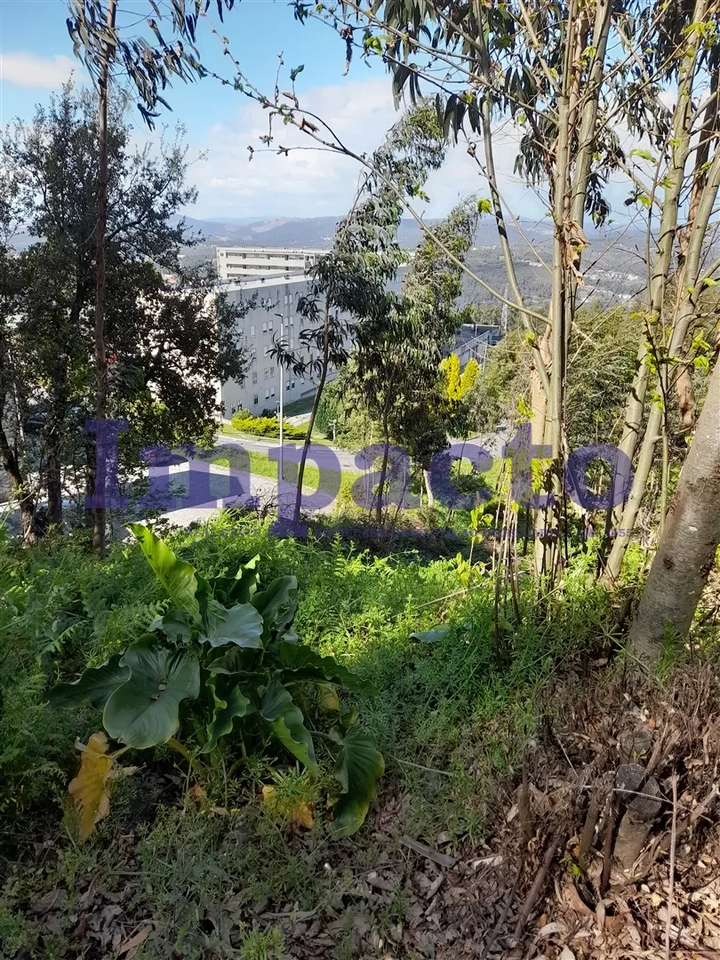Terreno R�stico - Crestuma, Vila Nova de Gaia, Porto - Miniatura: 1/9