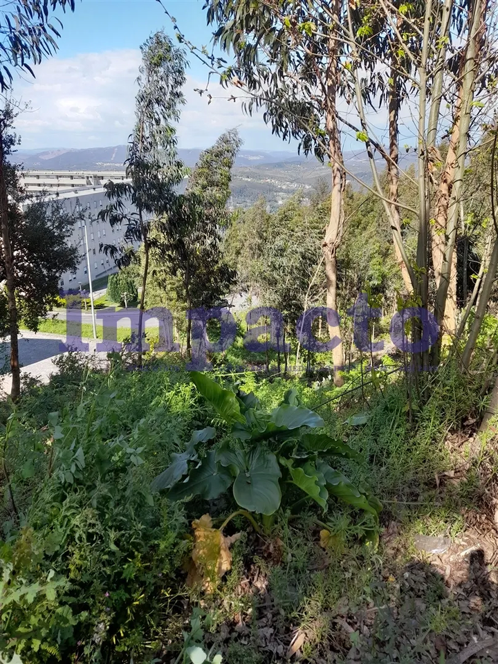 Terreno R�stico - Crestuma, Vila Nova de Gaia, Porto - Miniatura: 2/9