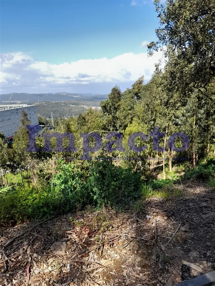 Terreno R�stico - Crestuma, Vila Nova de Gaia, Porto - Miniatura: 4/9