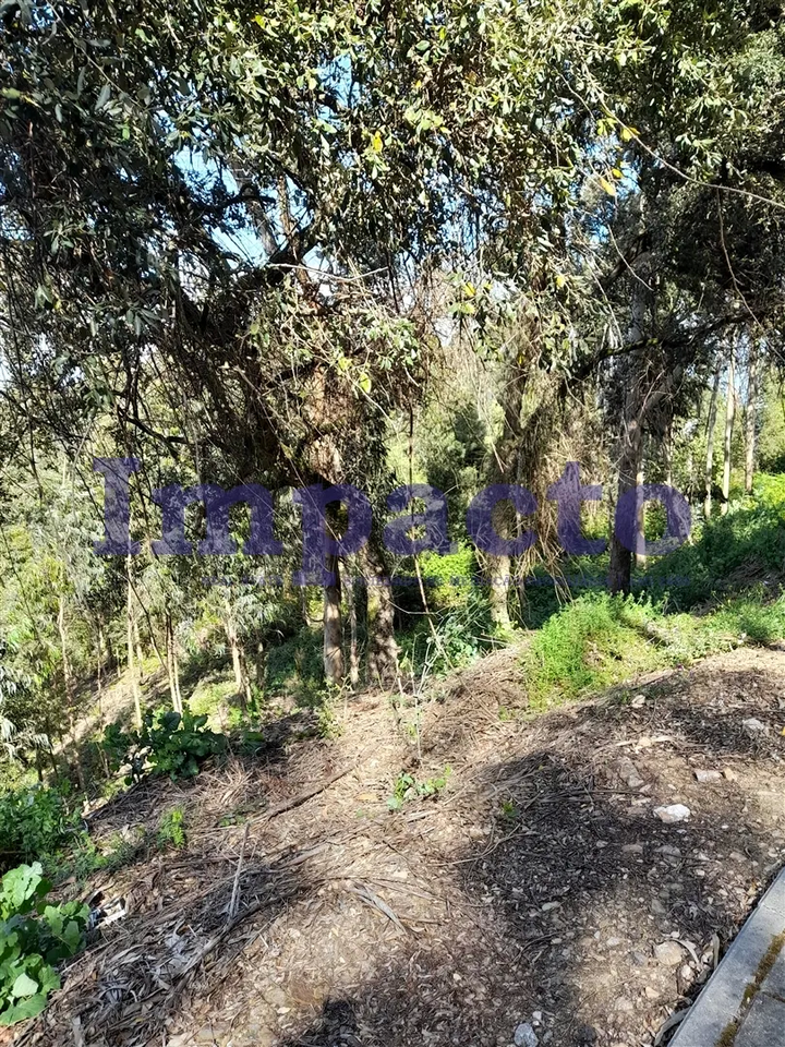 Terreno R�stico - Crestuma, Vila Nova de Gaia, Porto - Miniatura: 8/9