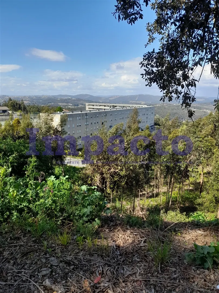 Terreno R�stico - Crestuma, Vila Nova de Gaia, Porto - Miniatura: 9/9