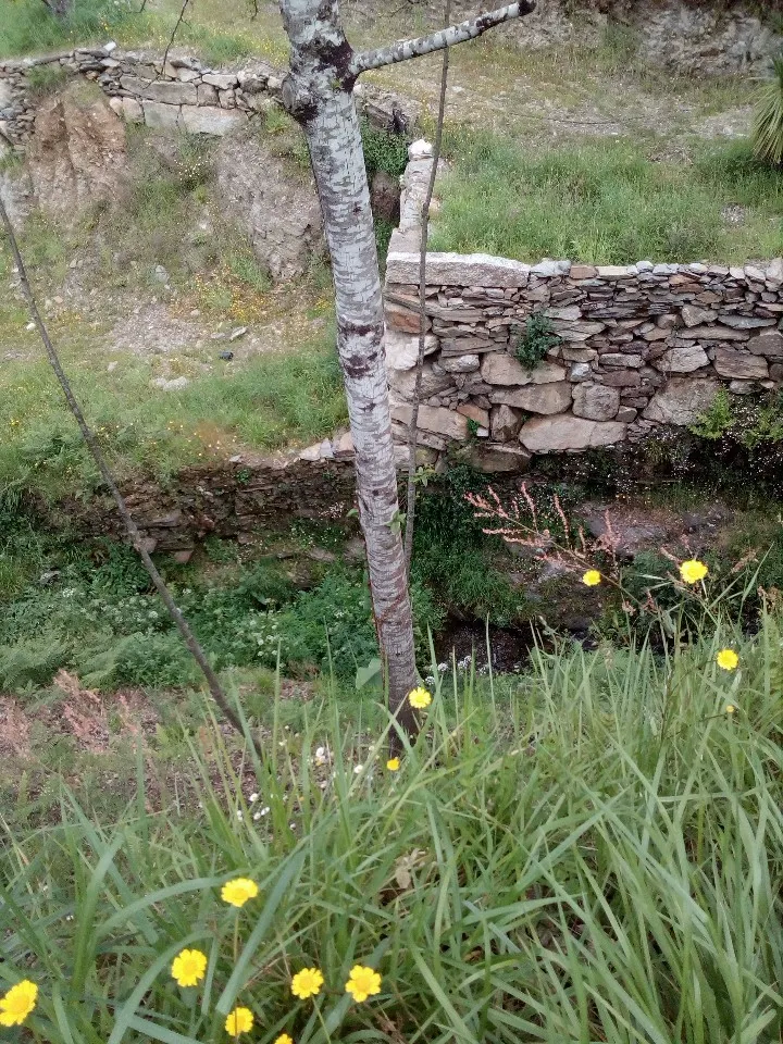 Terreno R�stico - Espiunca, Arouca, Aveiro - Miniatura: 4/9