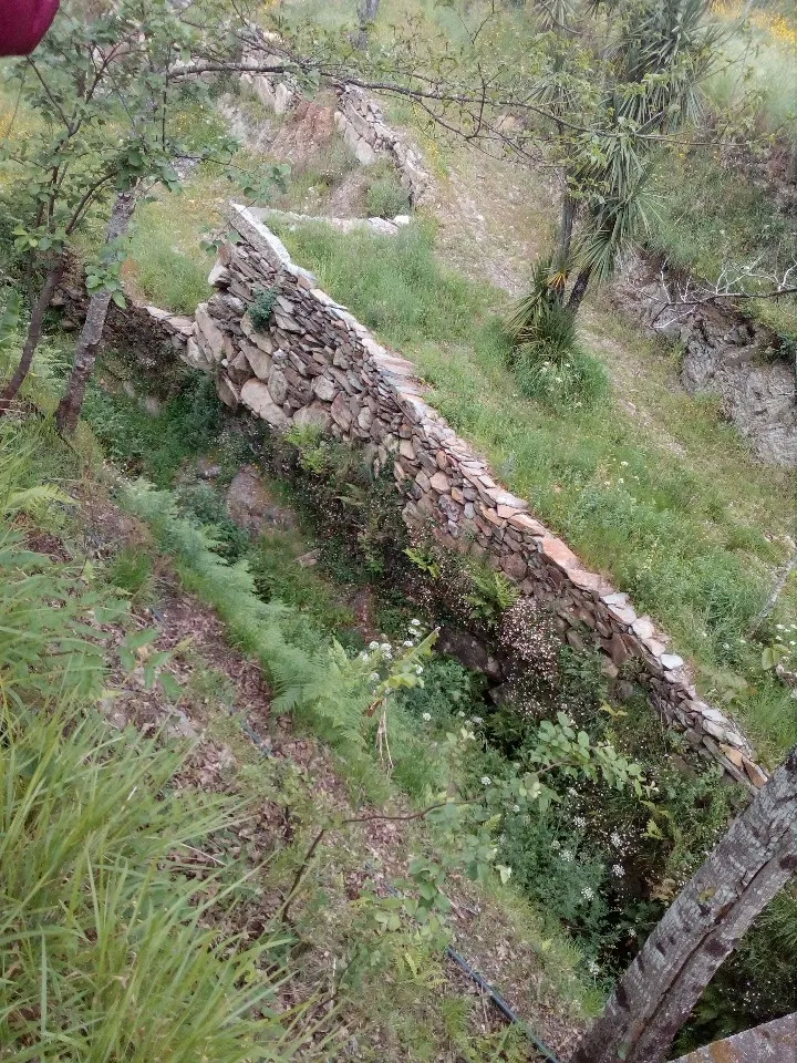 Terreno R�stico - Espiunca, Arouca, Aveiro - Miniatura: 6/9