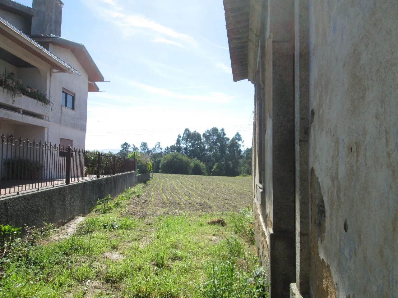 Terreno R�stico - Ul, Oliveira de Azem�is, Aveiro - Miniatura: 2/3