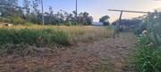 Terreno Rstico - Escariz, Arouca, Aveiro - Miniatura: 3/7