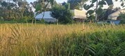 Terreno Rstico - Escariz, Arouca, Aveiro - Miniatura: 7/7