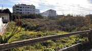Terreno R�stico - Tavarede, Figueira da Foz, Coimbra - Miniatura: 4/9